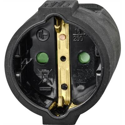 Close-up of a black socket outlet with gold-coloured metal contacts, marked with '16A' and '250V'.