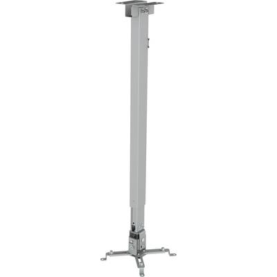 Image of Reflecta Tapa Projector ceiling mount Max. distance to floor/ceiling: 120 cm Silver