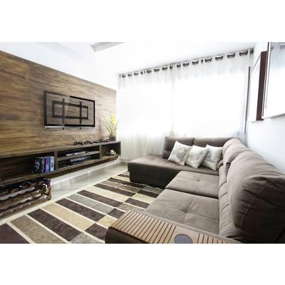 A modern living room with a brown sofa, striped rug and wall-mounted TV. Bright curtains allow sunlight to stream in.