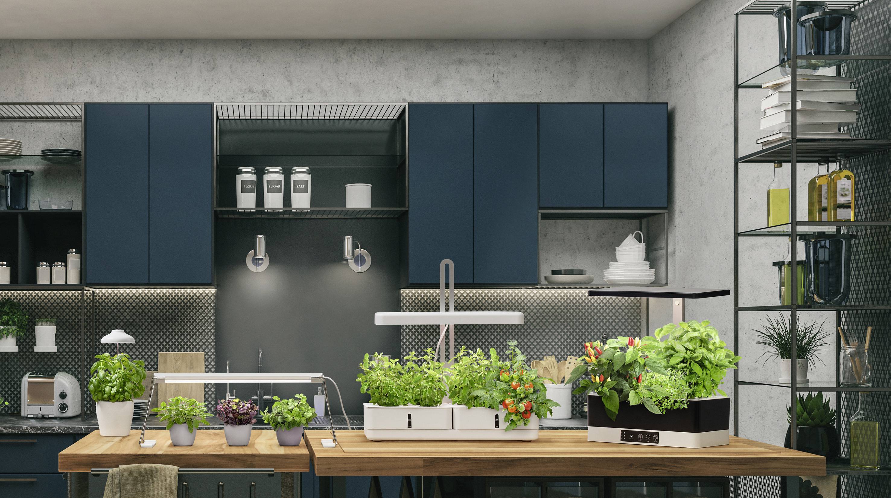 LEDVANCE LED grow light Indoor Garden KIT Pro 360 BK 355 mm 230 V Built-in LED 24 W Natural white 1 pc(s)-3