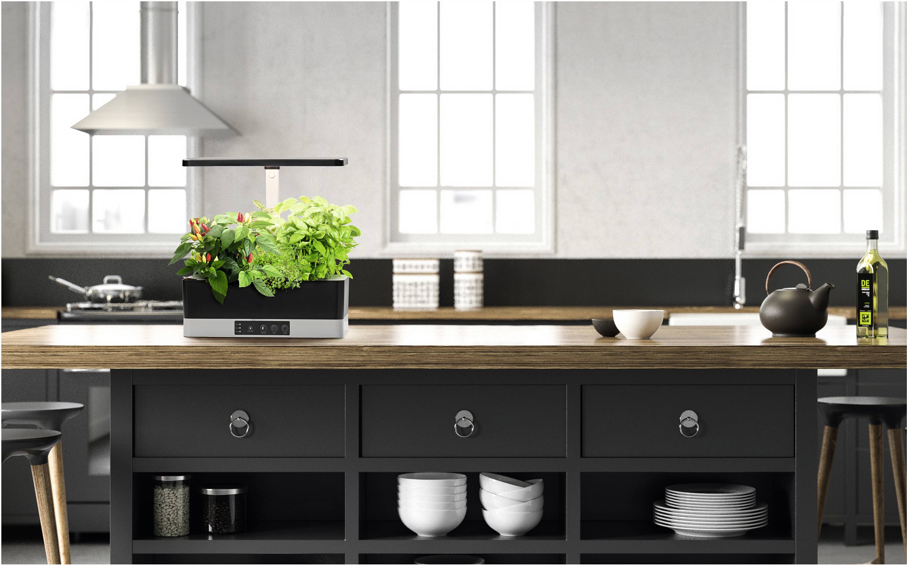 LEDVANCE LED grow light Indoor Garden KIT Pro 360 BK 355 mm 230 V Built-in LED 24 W Natural white 1 pc(s)-4