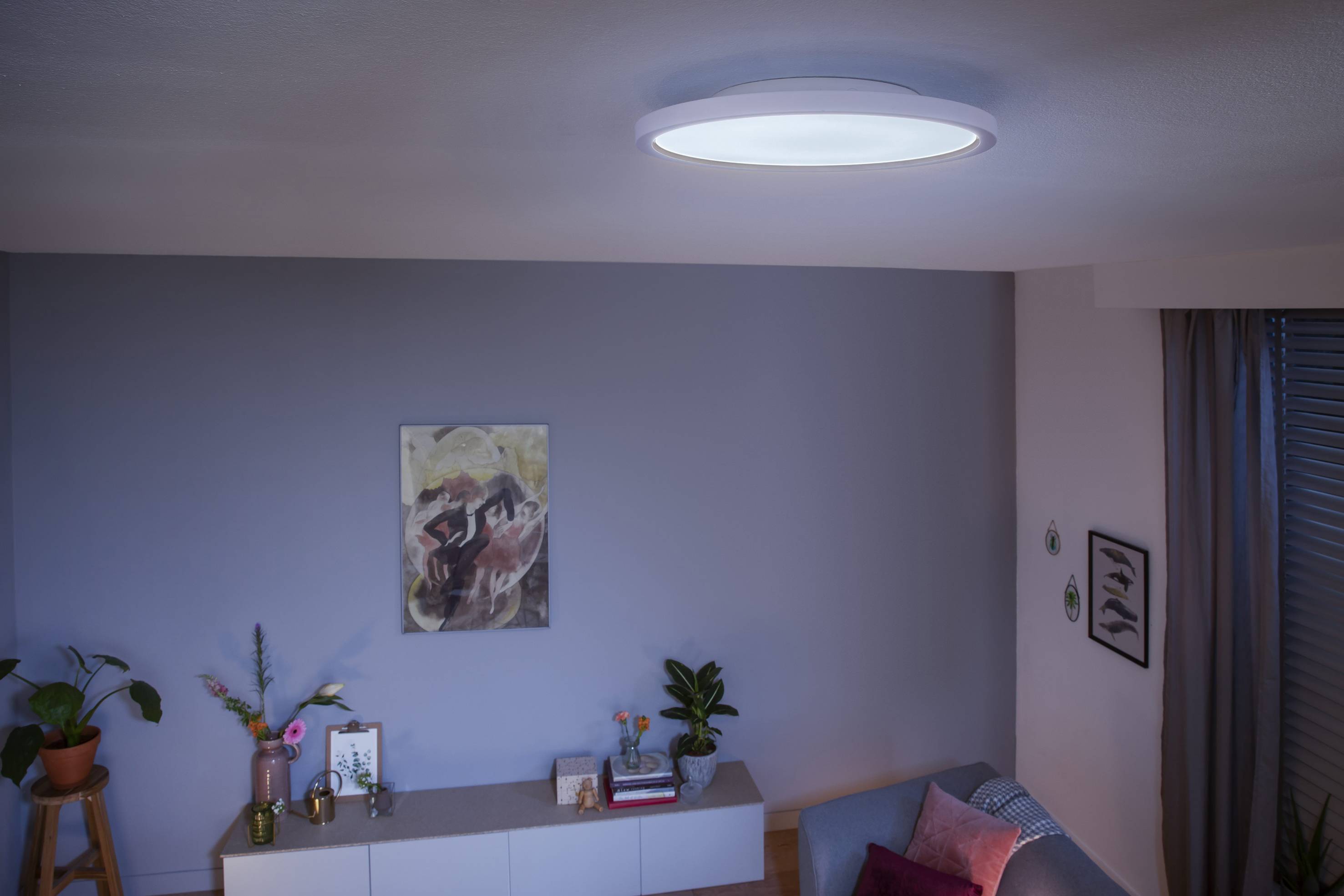 Bright living room with a modern ceiling light. Plants, wall art and a sofa create a cosy atmosphere.