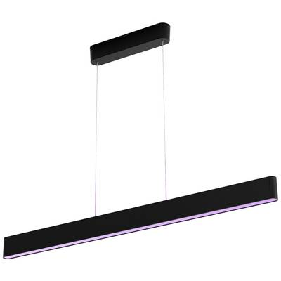 Pendant light with a modern, sleek design in black. It hangs from two cables and has an elongated shape. Ideal for contemporary spaces.