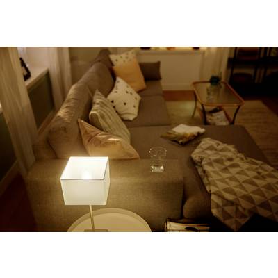 Living room with a grey sofa and cushions, with a glass of water and a blanket resting on it. A lamp illuminates a small table.