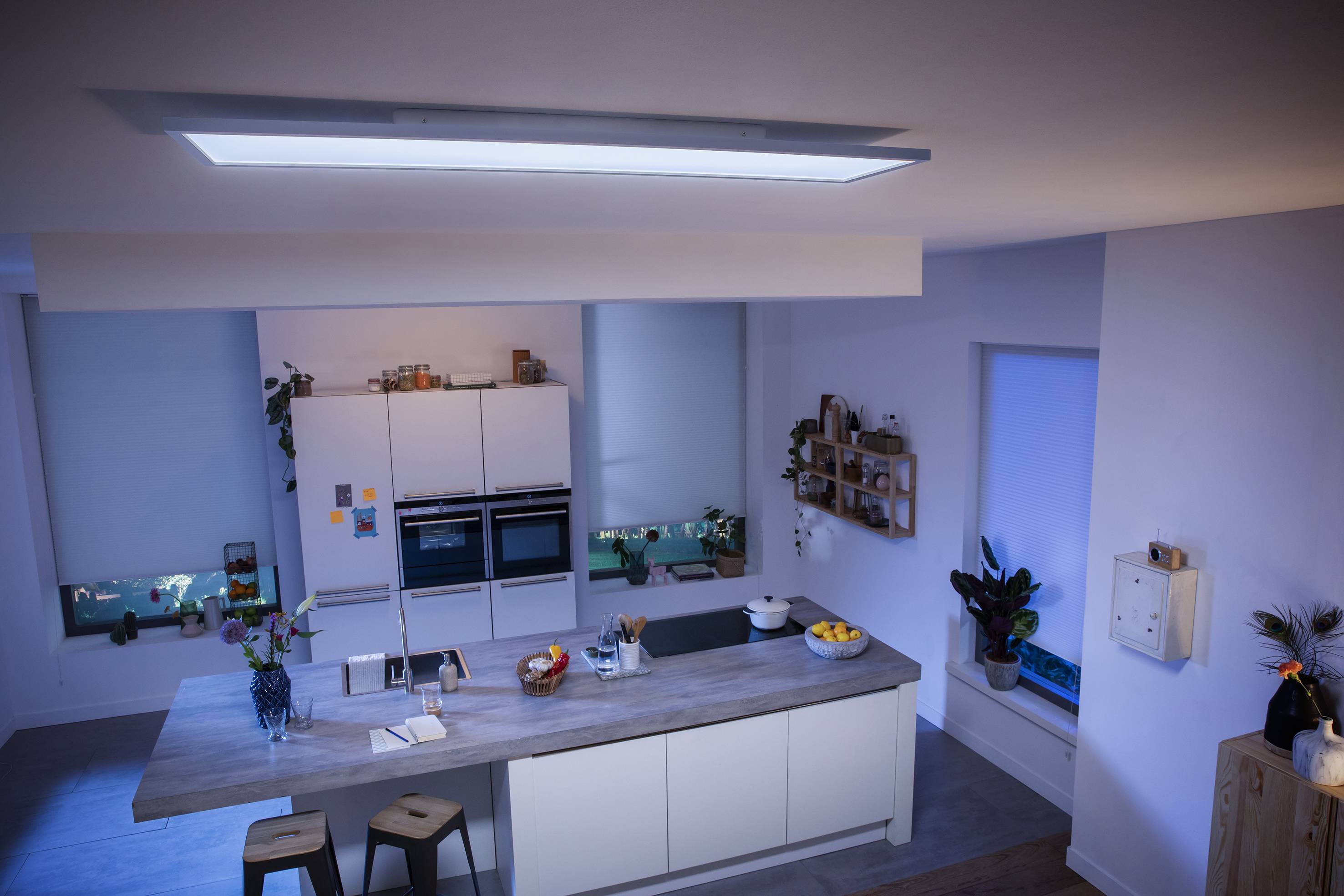 Modern kitchen with a large island, white cabinets and integrated appliances. Decoratively styled with plants and a fruit bowl on the counter.