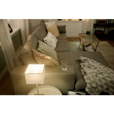 Living room with a grey sofa, decorative cushions, a light table lamp and a small glass coffee table. Cosy, welcoming atmosphere.