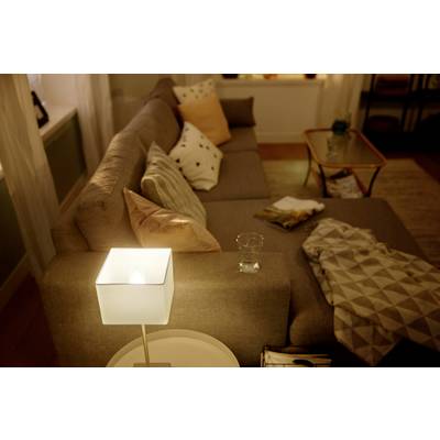 A cosy living room with a large grey sofa, adorned with various cushions and throws, alongside a glowing table lamp.