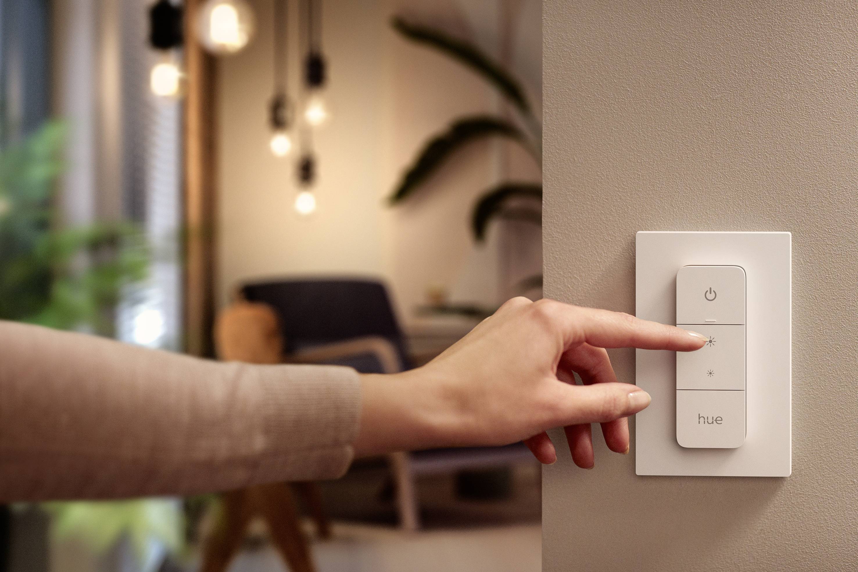 A person is pressing a switch on a wall to turn on the light in a living space with plants in the background.
