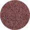 Rough, round sanding pad surface with a coarse texture, suitable for cleaning or abrasive work.