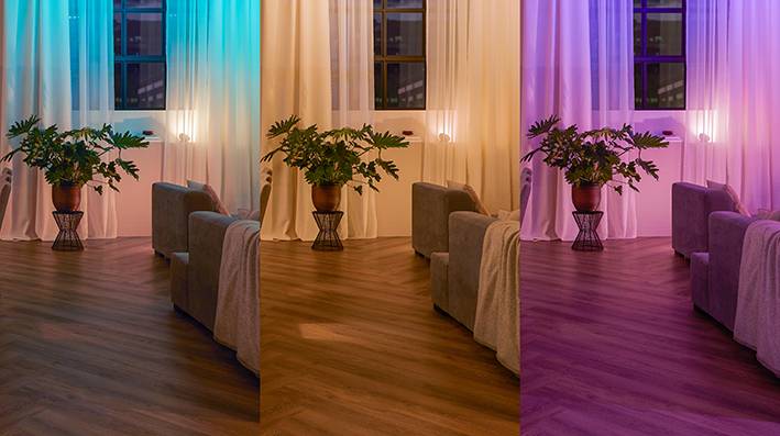 Living room with triple colour lighting: left blue-green, centre warm white, right pink-violet. Large plant pot beneath the window.