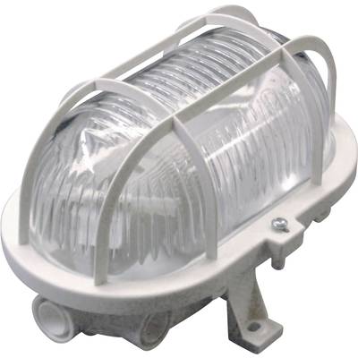 An oval wall or ceiling light with a protective grille and a transparent, ribbed glass design. Suitable for outdoor use.
