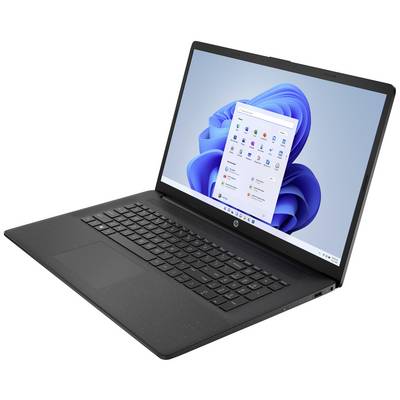 HP Laptop 17-cp0433ng 43.9 cm (17.3 inch) HD+ AMD Ryzen 3 5300U 8 GB RAM 512 GB SSD German, QWERTZ Black 4K582EA#ABD-3