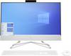 HP All-in-one PC 24-df1003ng 60.5 cm (23.8 inch) Full HD Intel® Core™ i5 i5-1135G7 8 GB RAM 1 TB HDD 512 GB SSD 3V667EA#ABD