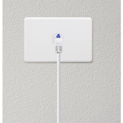 A network cable is plugged into a white wall socket, with the cable running vertically downwards.