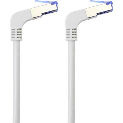 Two white network cables with angled plugs and blue clips.