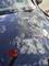 Water is being poured from a red watering can onto the gleaming bonnet of a car, with the sky and clouds reflecting on its surface.