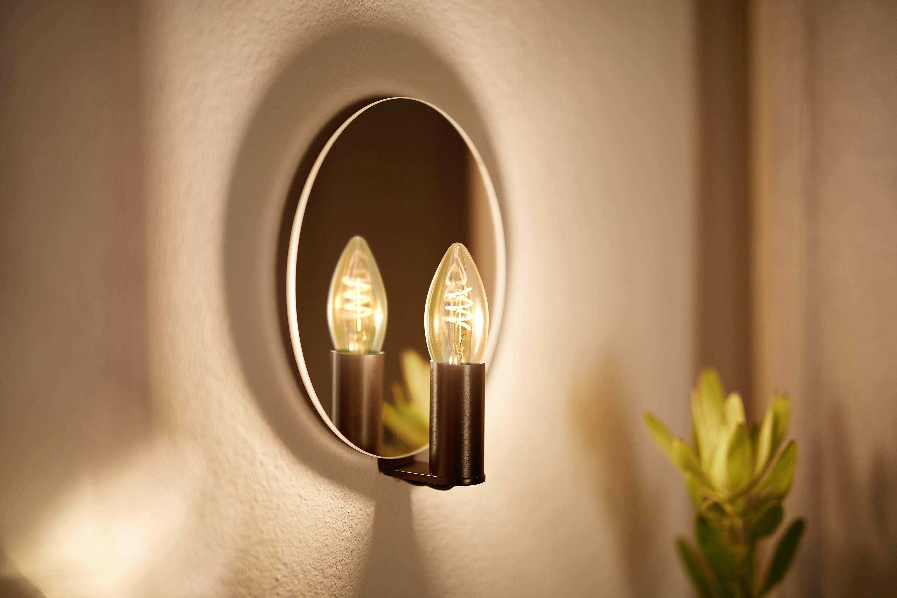 A burning light bulb is reflected in a round mirror on the wall next to a green plant.
