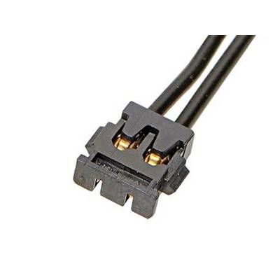 Black two-pin plug with two visible metal contacts, connected to two black cables. Electronic component.