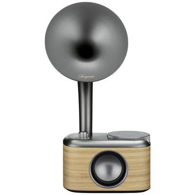 A modern, retro-inspired speaker system with wood and metal surfaces, an impressive horn, and a large speaker.
