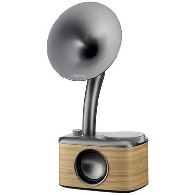 A contemporary speaker with a design reminiscent of an old gramophone horn. Wood-effect finish and metal accents.