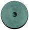 A round, flat, green surface with a small, central, raised point.