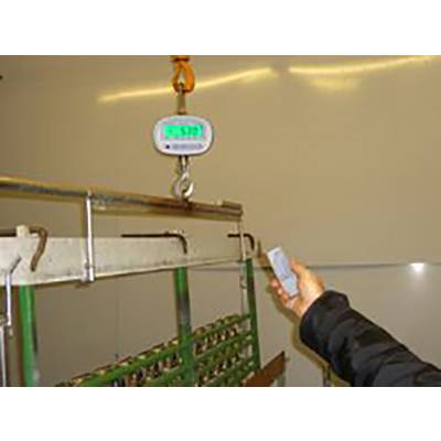 A person is operating a digital hanging scale with a remote control in a storage room. The number displayed on the scale is '82.00'.