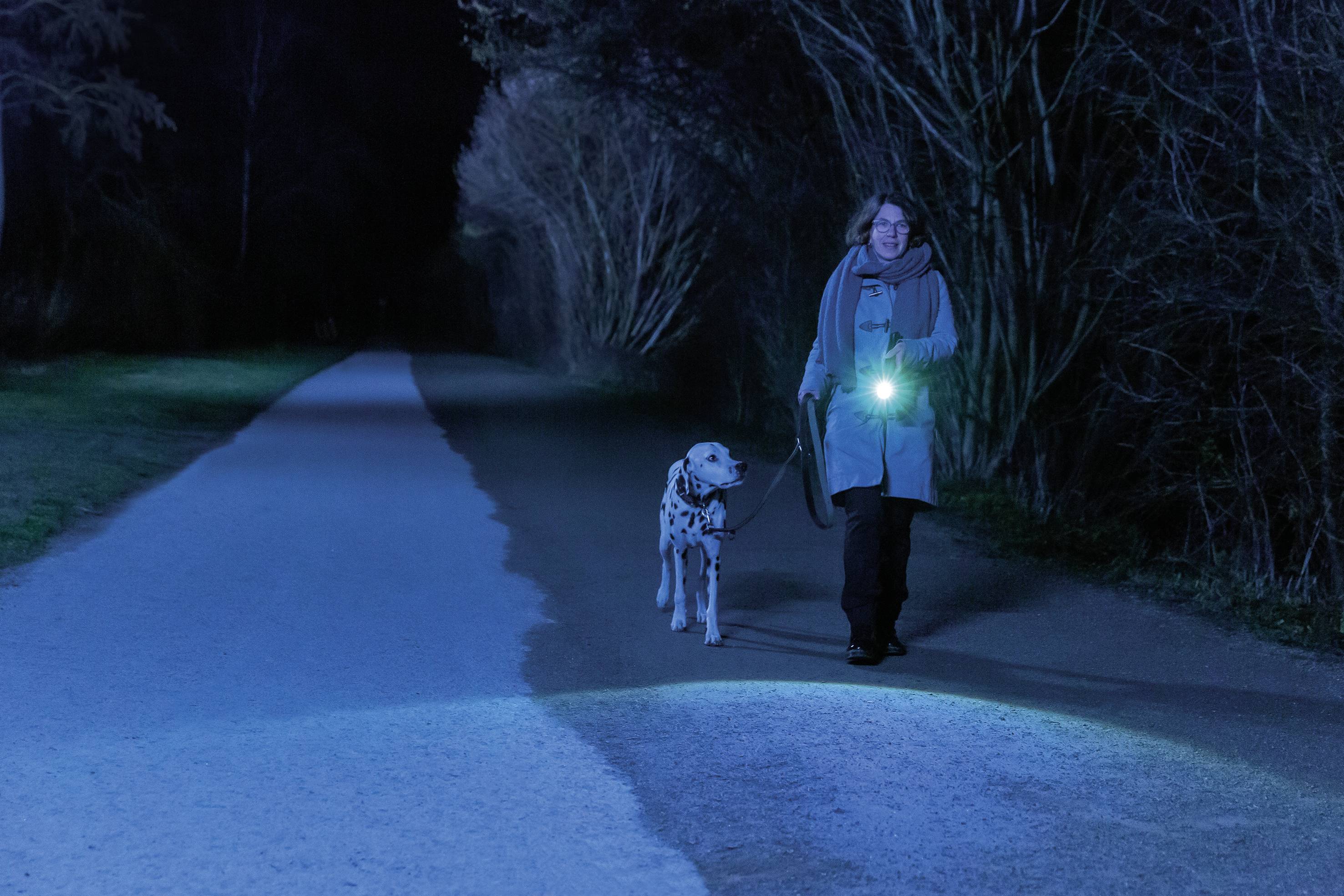A person is walking their dog at night, holding a bright torch that illuminates the path.<br><br>Note: In British English, "torch" is used instead of the American "flashlight", and the phrasing has been slightly adjusted to sound more natural.