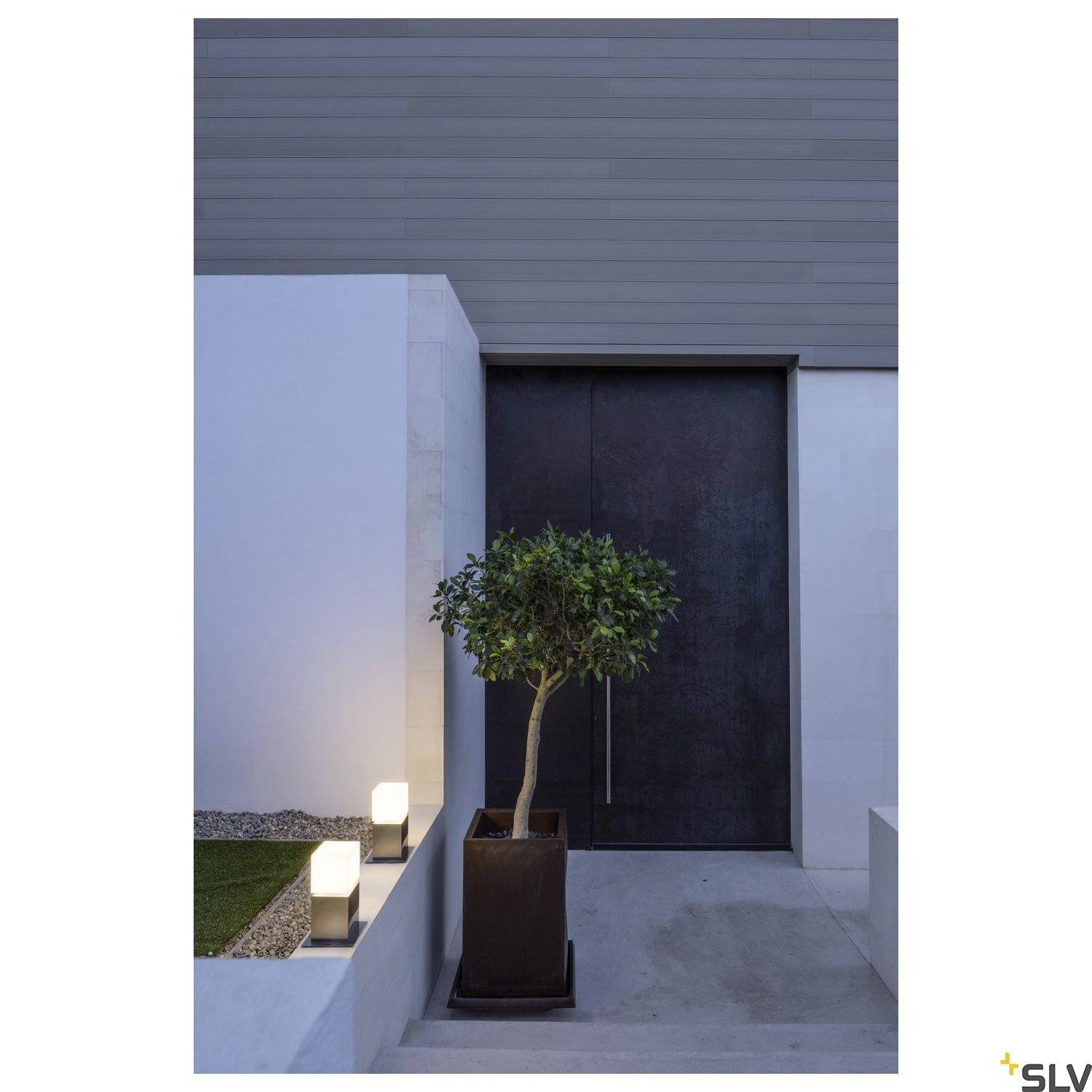 Modern entrance door of a building with a dark colour, flanked by white walls. A small tree in a pot stands in front of it.