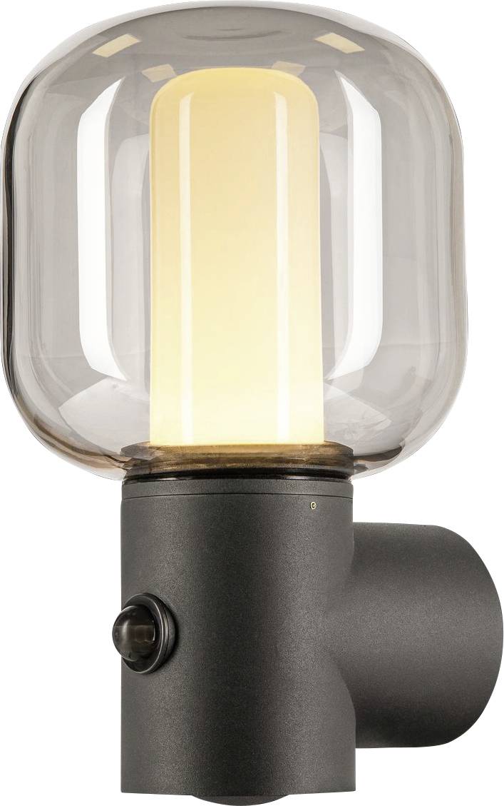 Wall light with transparent glass and internal illuminated bulb, modern design in dark casing.