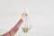 A hand hangs a geometric metal plant pot from the ceiling. The pot contains small, green, hanging plants.