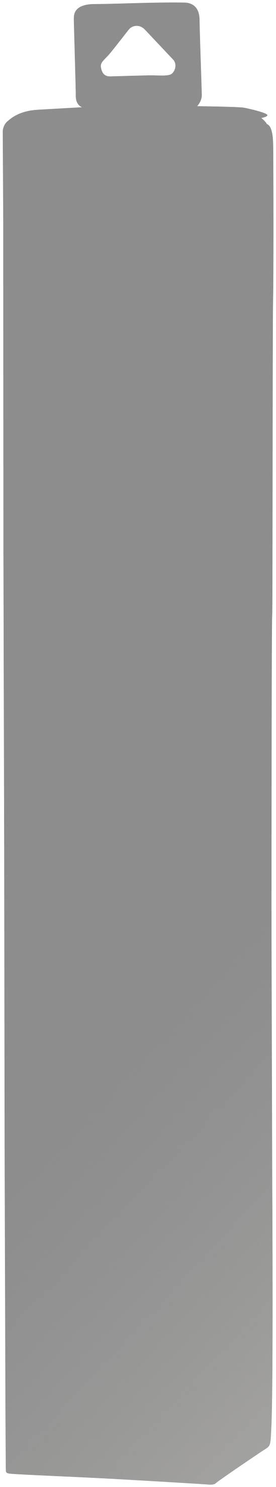 A grey, elongated packaging with a hanging tab at the top. Ideal for hanging in retail environments.