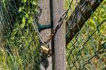 Stanley brass padlock barrel 50 mm