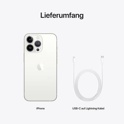 Apple iPhone 13 Pro Silver 256 GB 15.5 cm (6.1 inch)-9
