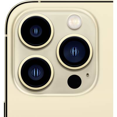 Apple iPhone 13 Pro Gold 256 GB 15.5 cm (6.1 inch)-3