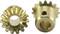Two gold-coloured metal gears, one viewed from the front and one from the side, display their teeth and holes.