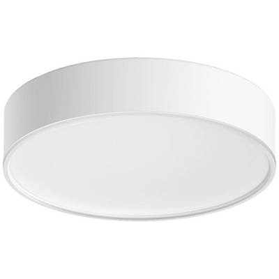 White round ceiling light with a simple, modern design.