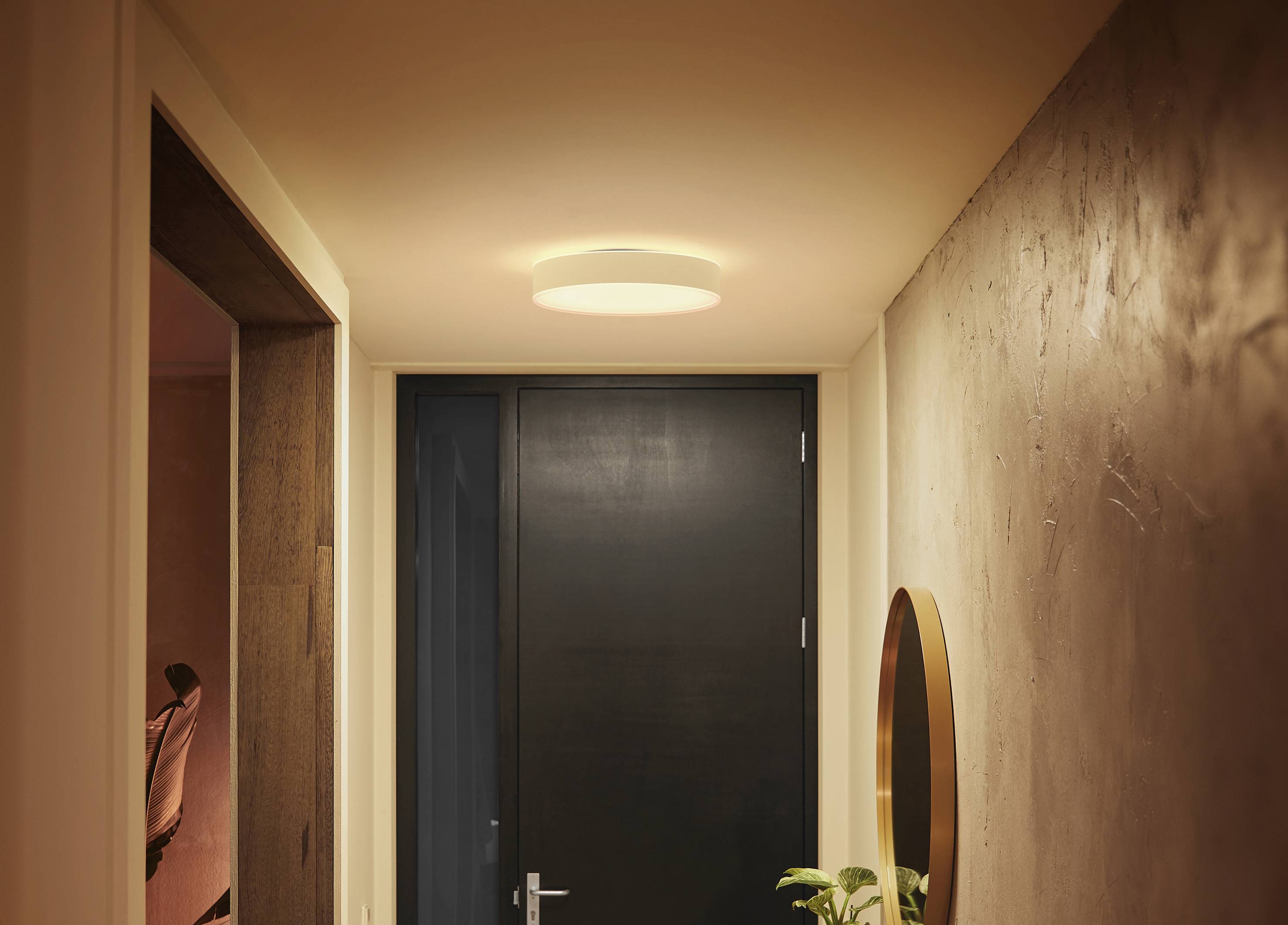 Hallway with subdued lighting, a central ceiling light, black door in the background, large mirror on the right wall, with a plant positioned underneath.
