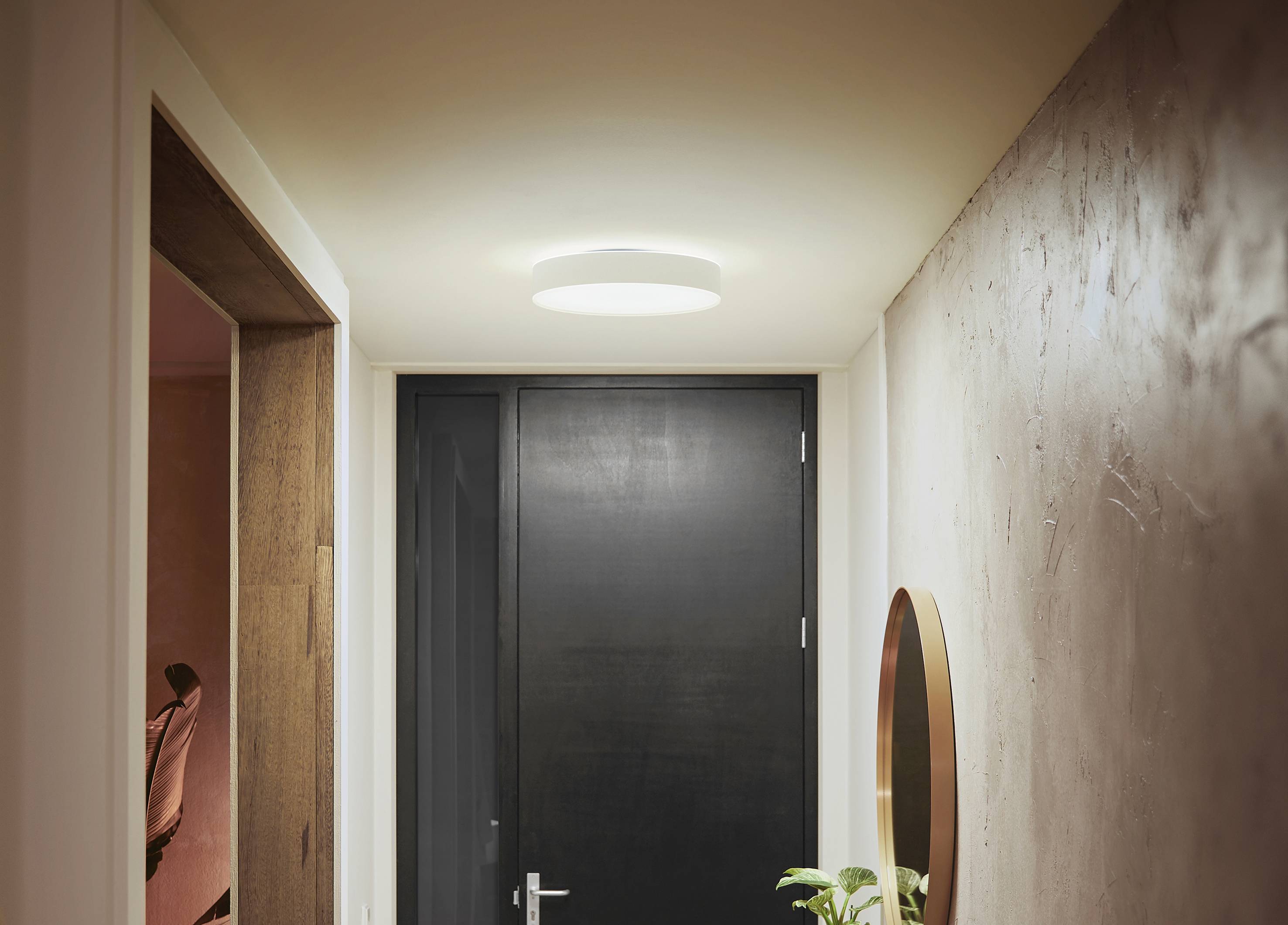Hallway with white ceiling light, black door and round mirror on the wall. A plant is positioned in the bottom left of the image.