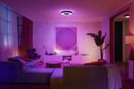 Philips Hue White & Col AMB. Inuse ceiling lamp L black 4500lm