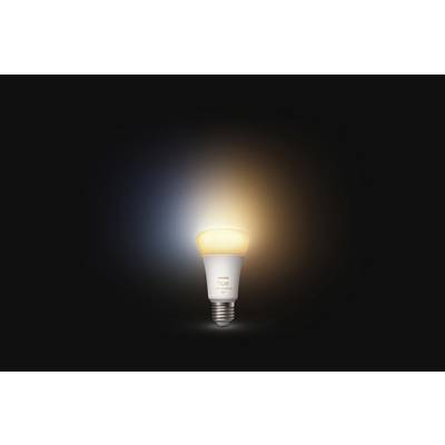 A light bulb against a black background glows in blue and warm white light, symbolising adaptable illumination.