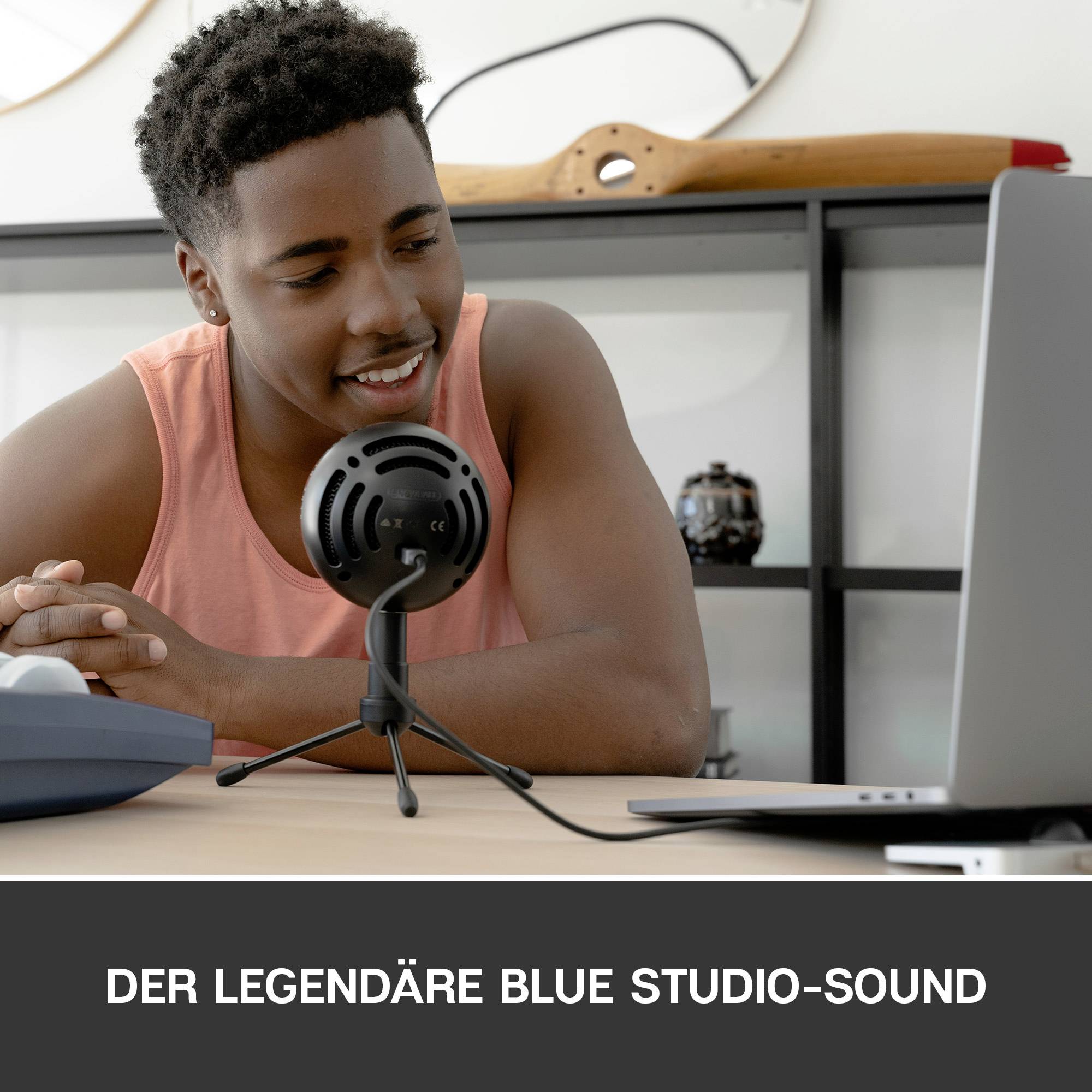 Stand PC microphone Blue Microphones Snowball iCE Transfer type (details):Corded, USB-2