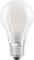 Light bulb on a white background, showing a classic design with a visible filament.