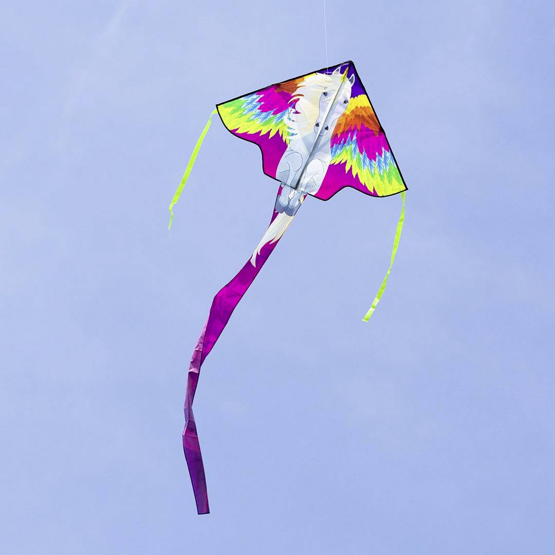 A colourful kite with rainbow-coloured wings, soaring high in the blue sky.