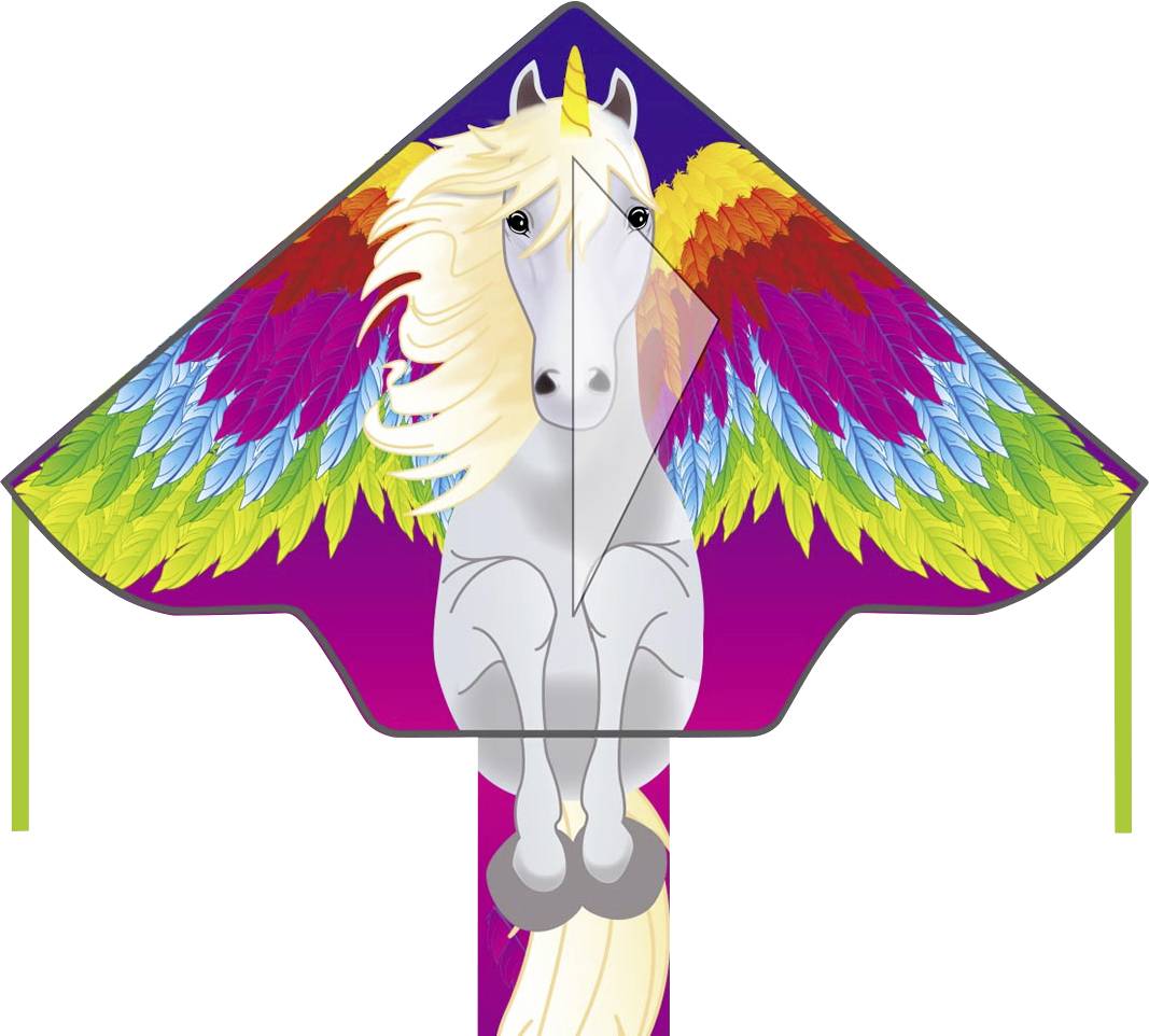 Ecoline Single line Kite Simple Flyer Pegasus Wingspan (details) 1200 mm Wind speed range 2 - 5 bft