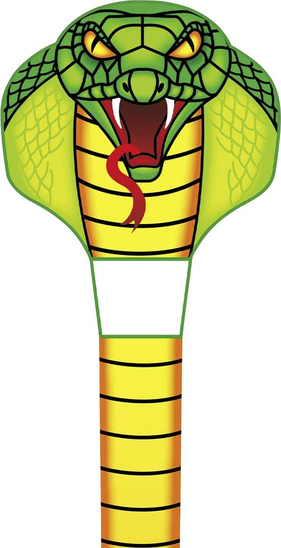 Image of Ecoline Kite Emerald Cobra kite Wingspan (details) 670 mm Wind speed range 2 - 5 bft