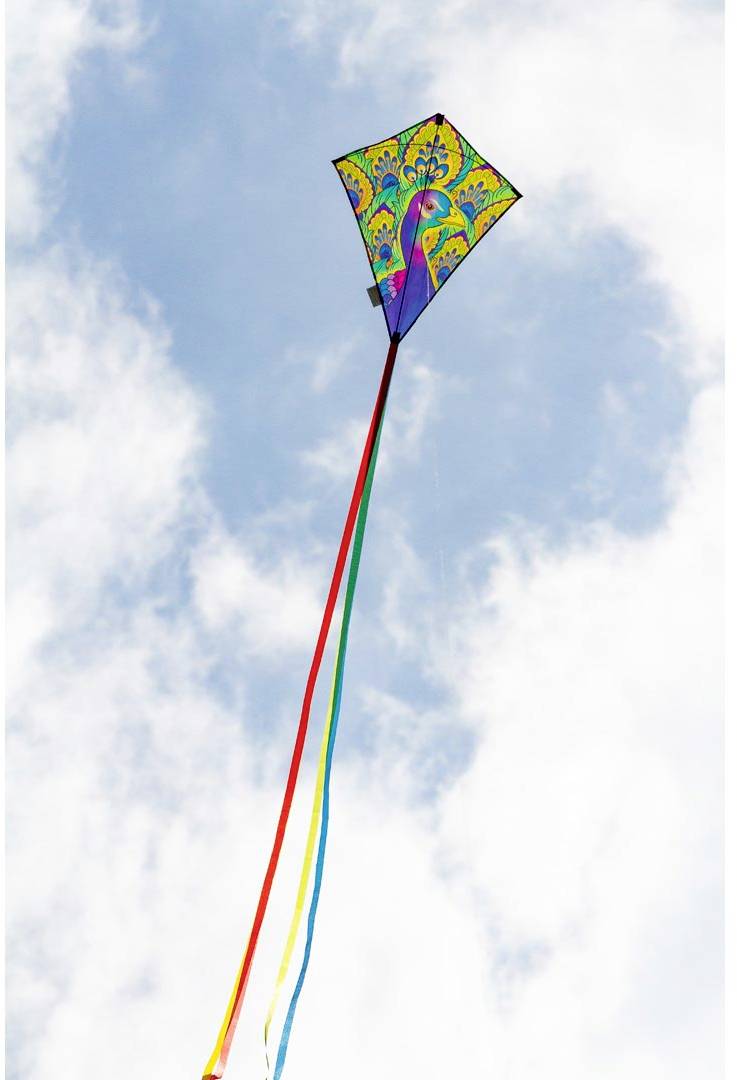 A colourful kite with long, multi-coloured ribbons flies high in the cloudy sky.