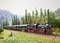 A model train travels through a landscape of trees and hills, consisting of a steam locomotive and green carriages.