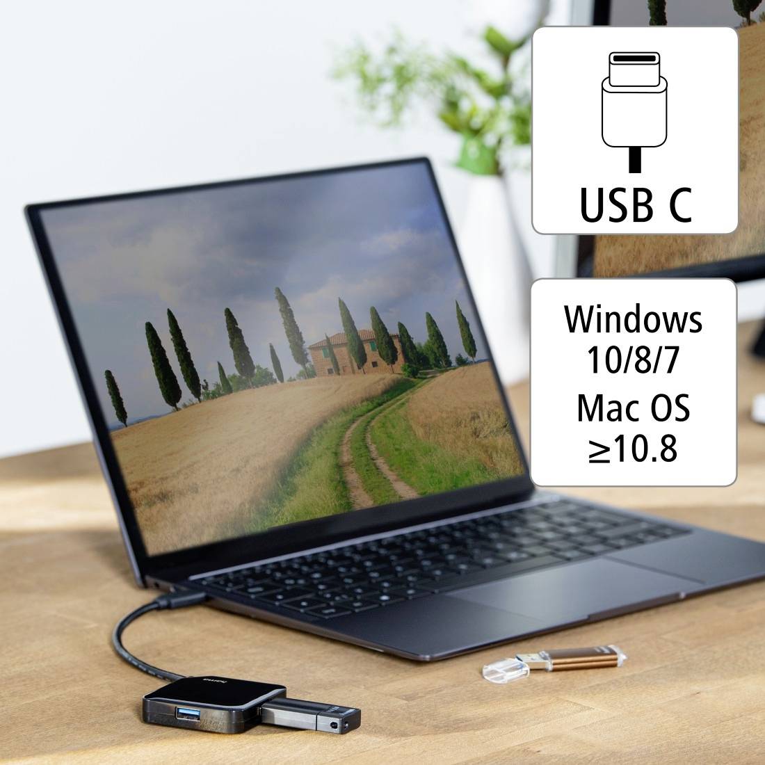 A laptop on a table, connected with a USB-C cable. A landscape image is displayed on the screen. Supported systems: Windows 10/8/7, macOS.