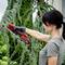 A woman is cutting branches from a tree in a garden using a chainsaw. She is wearing a grey T-shirt and black gloves.