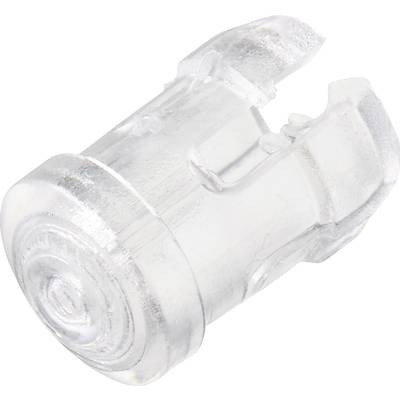 A transparent, cylindrical plastic wall plug with a ribbed end and internal ribs for secure anchoring.
